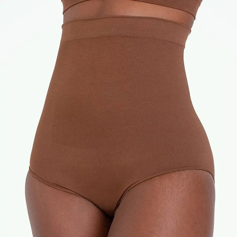 High-waisted Shape wear Pantie Tummy Control - High Waisted Tummy Control Panty-Ice & Rose